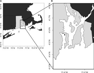 A Decade of Time Series Sampling Reveals Thermal Variation and Shifts in Pseudo-nitzschia Species Composition That Contribute to Harmful Algal Blooms in an Eastern US Estuary